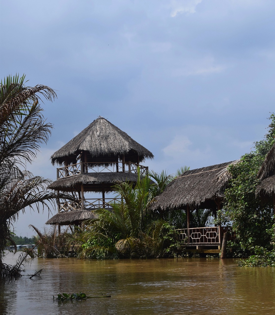 vietnam, mekong river, nature