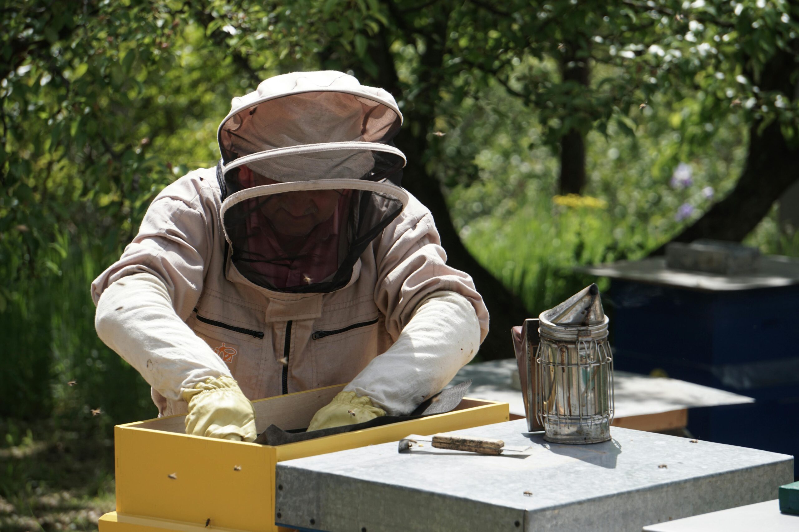 The 10 Secret to Successful Bee Farming